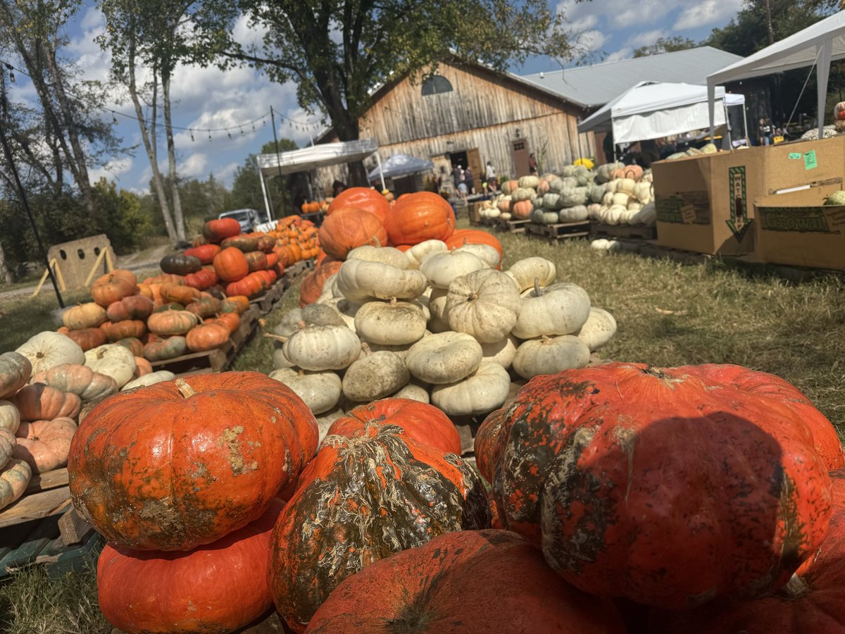 erinpearson__'s tweet image. GOOD FOR ME 🙃
A market, a pumpkin patch, and the company of friends who care — sometimes the simplest things are the best kind of good. 🍂🎃

#GoodForMe #BadForMe #NewMusicSoon #SingerSongwriter #FallVibes  #IndieArtist #BadForMeSong #NashvilleMusic #SongwriterLife #NewSingle