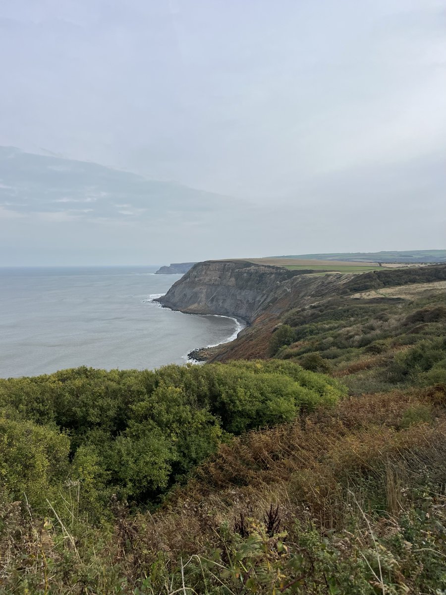 rly cool girl tweet media