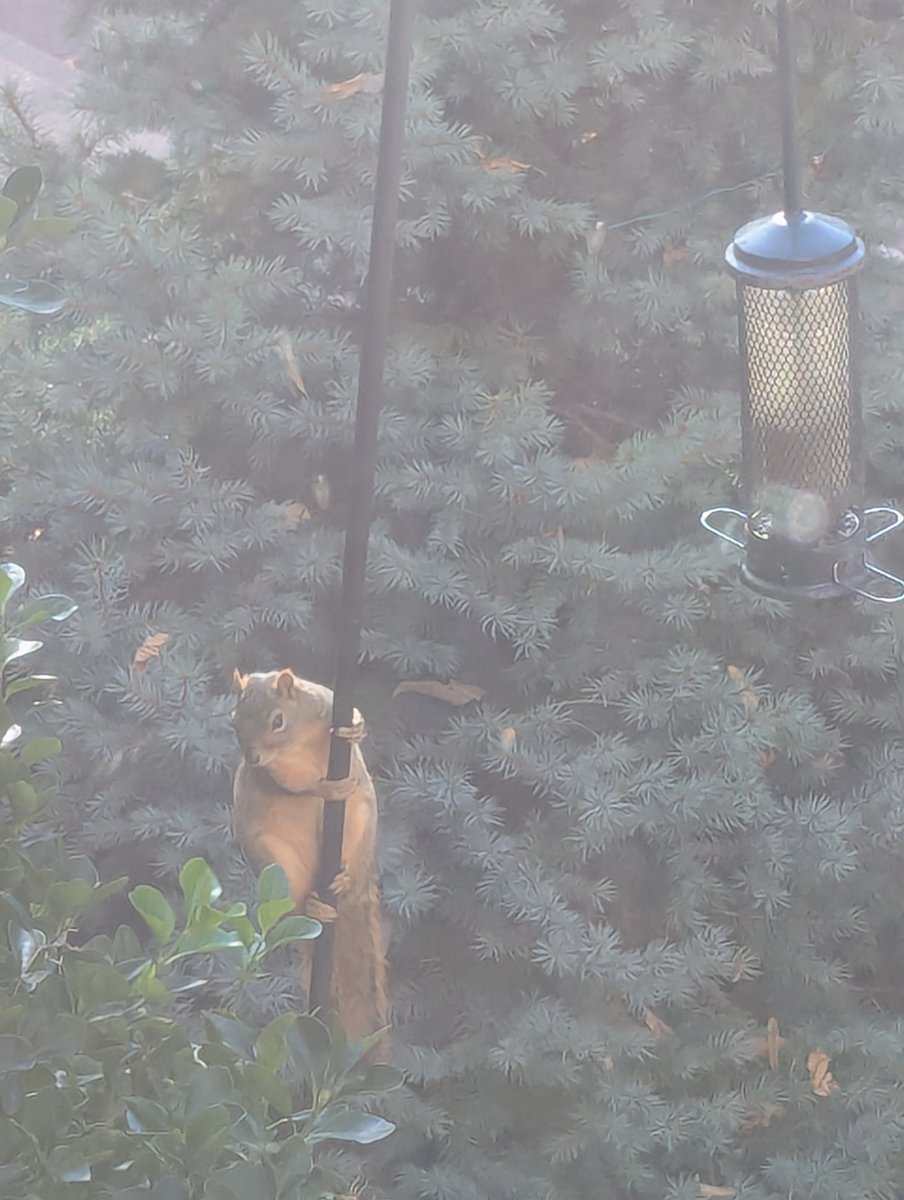 This is the epitome of ideology.