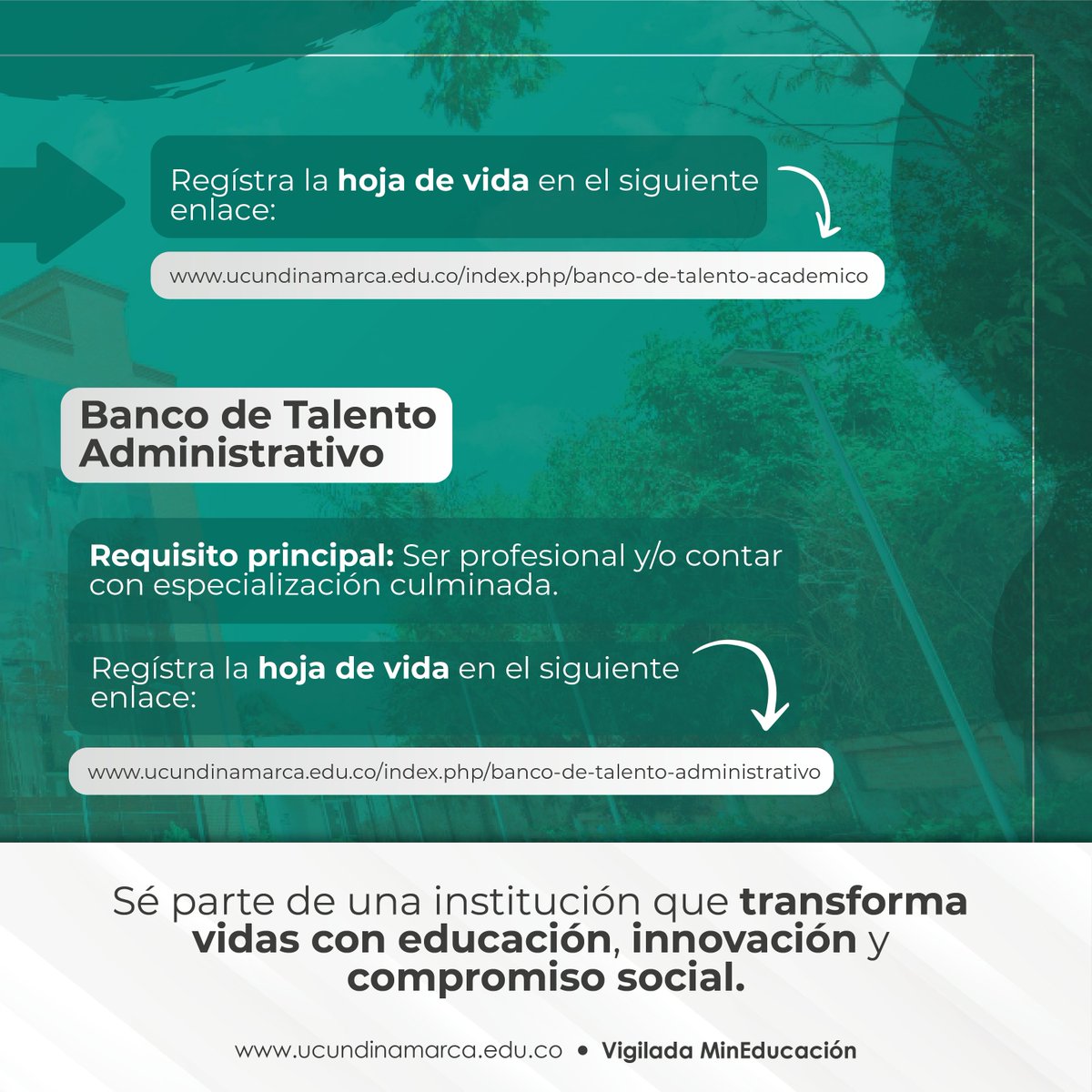 UCundinamarca Oficial (@ucundinamarca) on Twitter photo ¡Atención profesionales!
📢<a href="/UCundinamarca/">UCundinamarca Oficial</a> abre su Banco de Talento
Dos perfiles:
1. Académico: Con Maestría
2. Administrativo: Con especialización culminada.
Únete a una institución que transforma vidas. 🚀
🔗 ¡Regístrate YA! goo.su/RzpaVuW
#BancoDeTalento #Empleo ¡Atención profesionales!
📢<a href="/UCundinamarca/">UCundinamarca Oficial</a> abre su Banco de Talento
Dos perfiles:
1. Académico: Con Maestría
2. Administrativo: Con especialización culminada.
Únete a una institución que transforma vidas. 🚀
🔗 ¡Regístrate YA! goo.su/RzpaVuW
#BancoDeTalento #Empleo