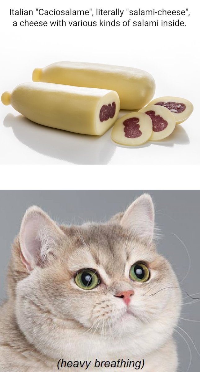 Well another day of game demos.
Does anyone even use this anymore after the bot infestations?
Who knows!
But here's a meme and lets go live!