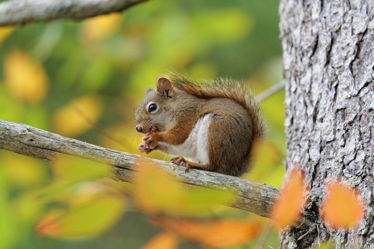 tech_anto's tweet image. This photo taken with the iPhone Air is beautiful

@ChristianSelig