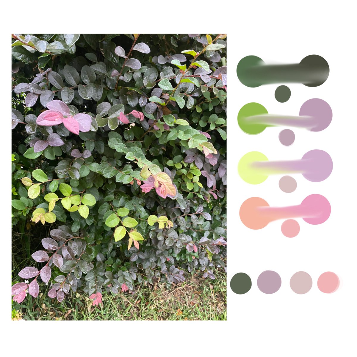 I remember I posted this then twitter exploded