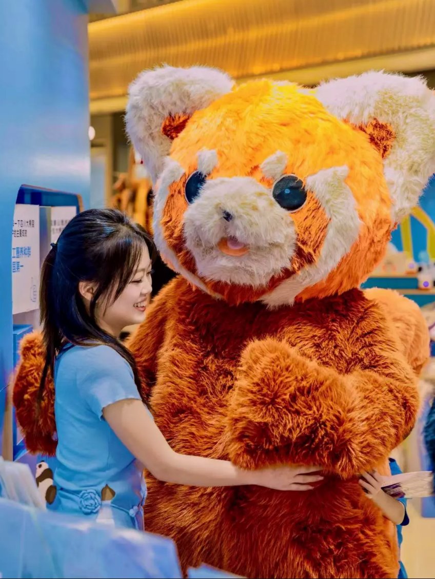 AngusNguye4096's tweet photo. OMG, the Red Panda zone is the CUTEST! Not the giant ones, these are the adorable, fluffy red pandas. So many cute photo ops and plushies. Don't miss it! #RedPanda#HangzhouCultureExpo https://t.co/WwP1x0QJwk