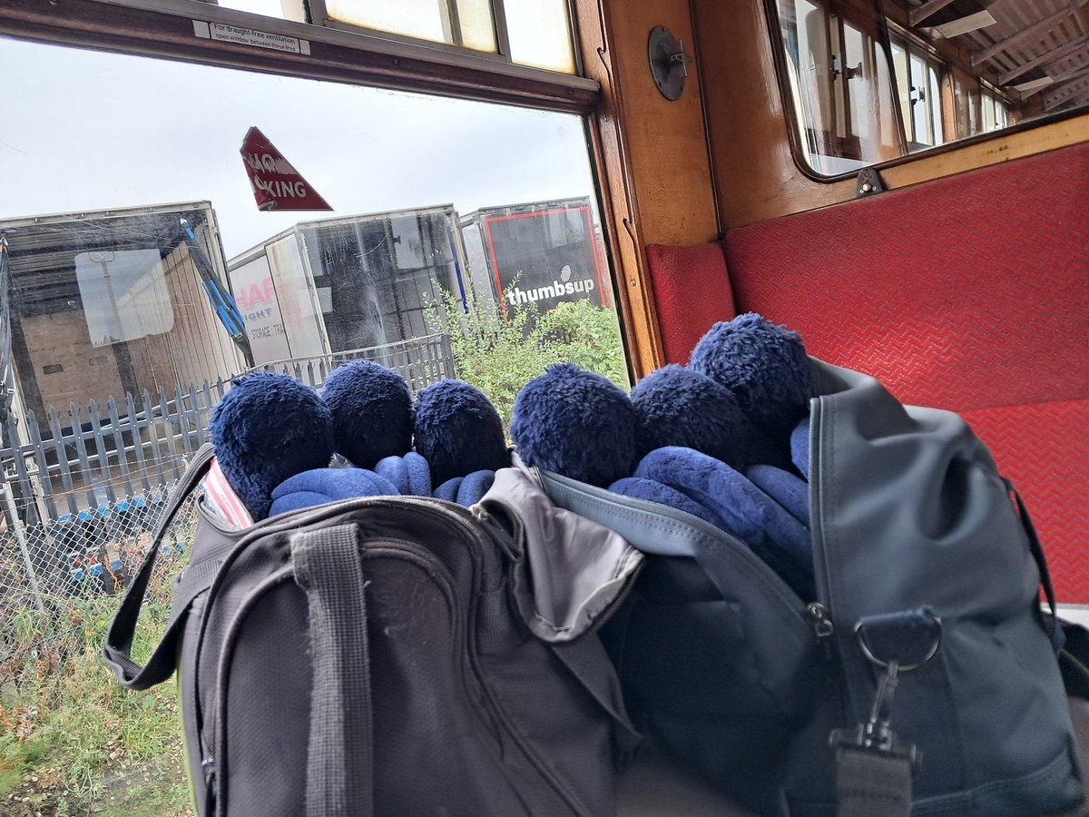 Cfluffkins 🐻 tweet media