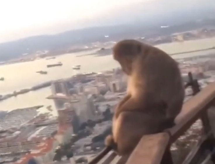 kazadan sonra motor suremedigim icin tum gun evde otururken ben