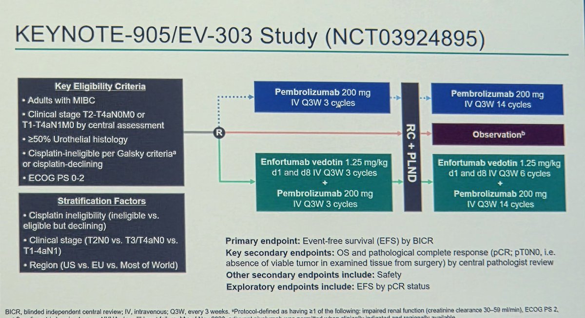 DrIacovelli's tweet image. New way to treat pts with #MIBC not eligible to cisplatin presented in the plenary session at #ESMO25. EV303 showed the correct way using EV+P as perioperative strategy. The question is now...should we continue in offering surgery? @tompowles1
@OncoAlert @GUOncologyNow @Uromigos