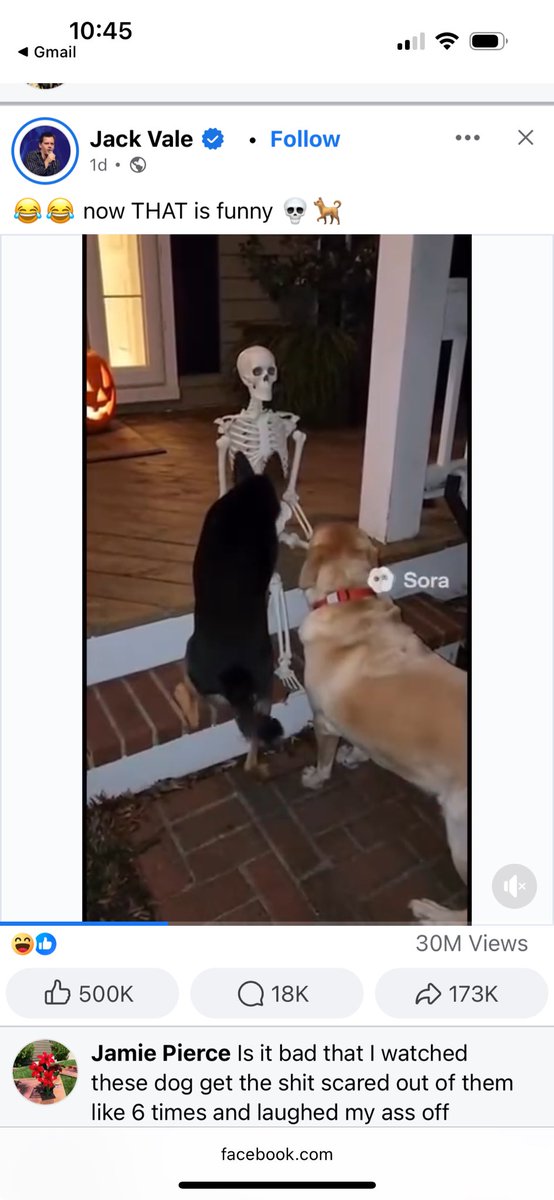 Sora videos getting 30M views on facebook 🤯