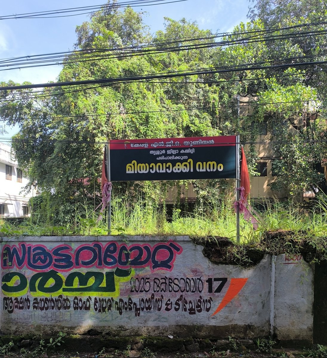 While everyone debates what unions should be, the NGO Union nurtures a Miyawaki forest in the heart of the town.

- next to Sahitya Academy Hall, Thrissur