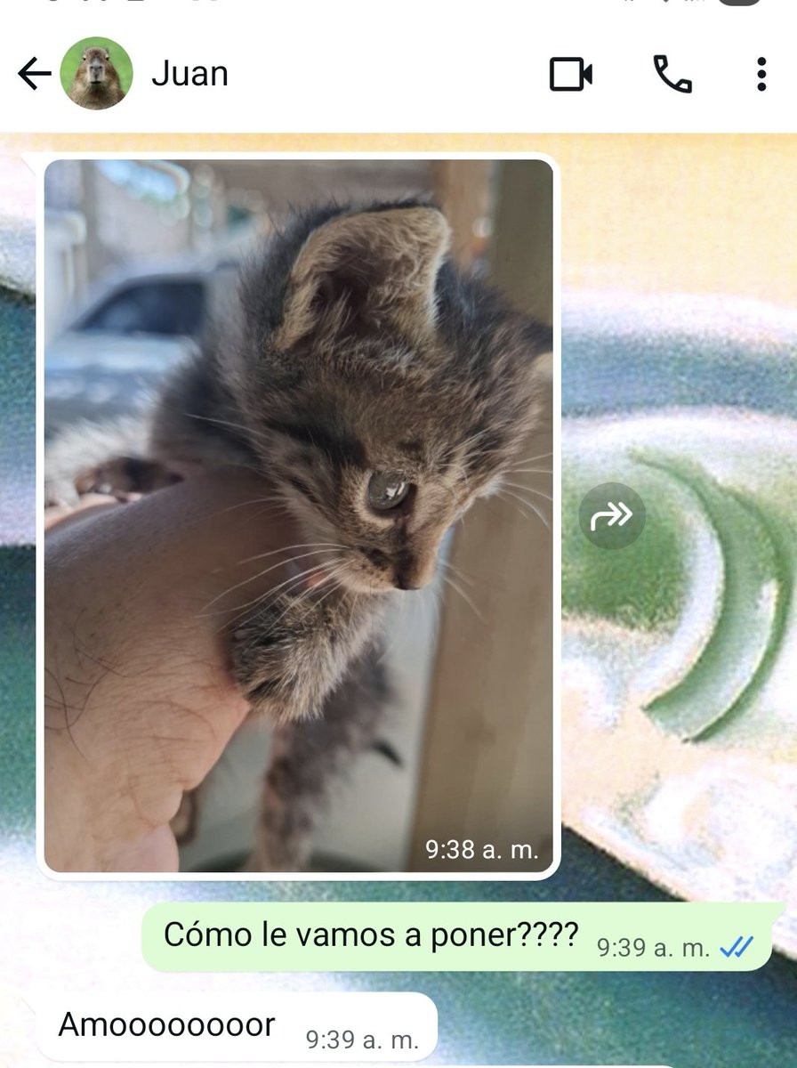 Tania_Tagle's tweet image. ¿Qué les dijeeeeee?