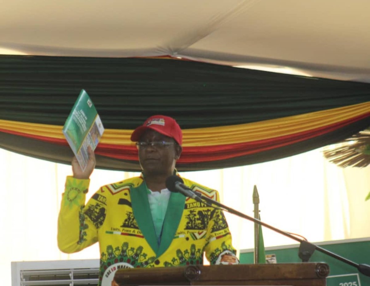 Hopewell Chin’ono tweet media