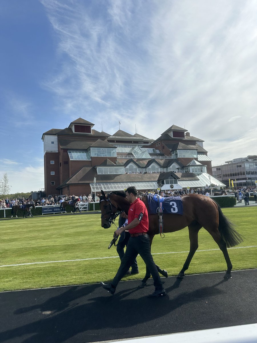 Connochie7's tweet image. Managed to get him beat in a Newbury maiden… #CrownOfOaks