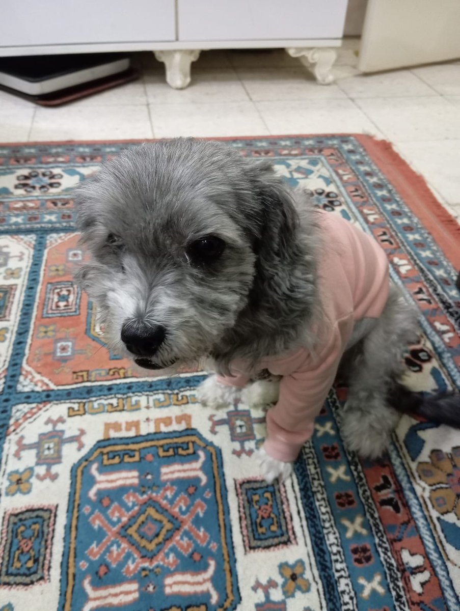 Bugra Kuki tweet media