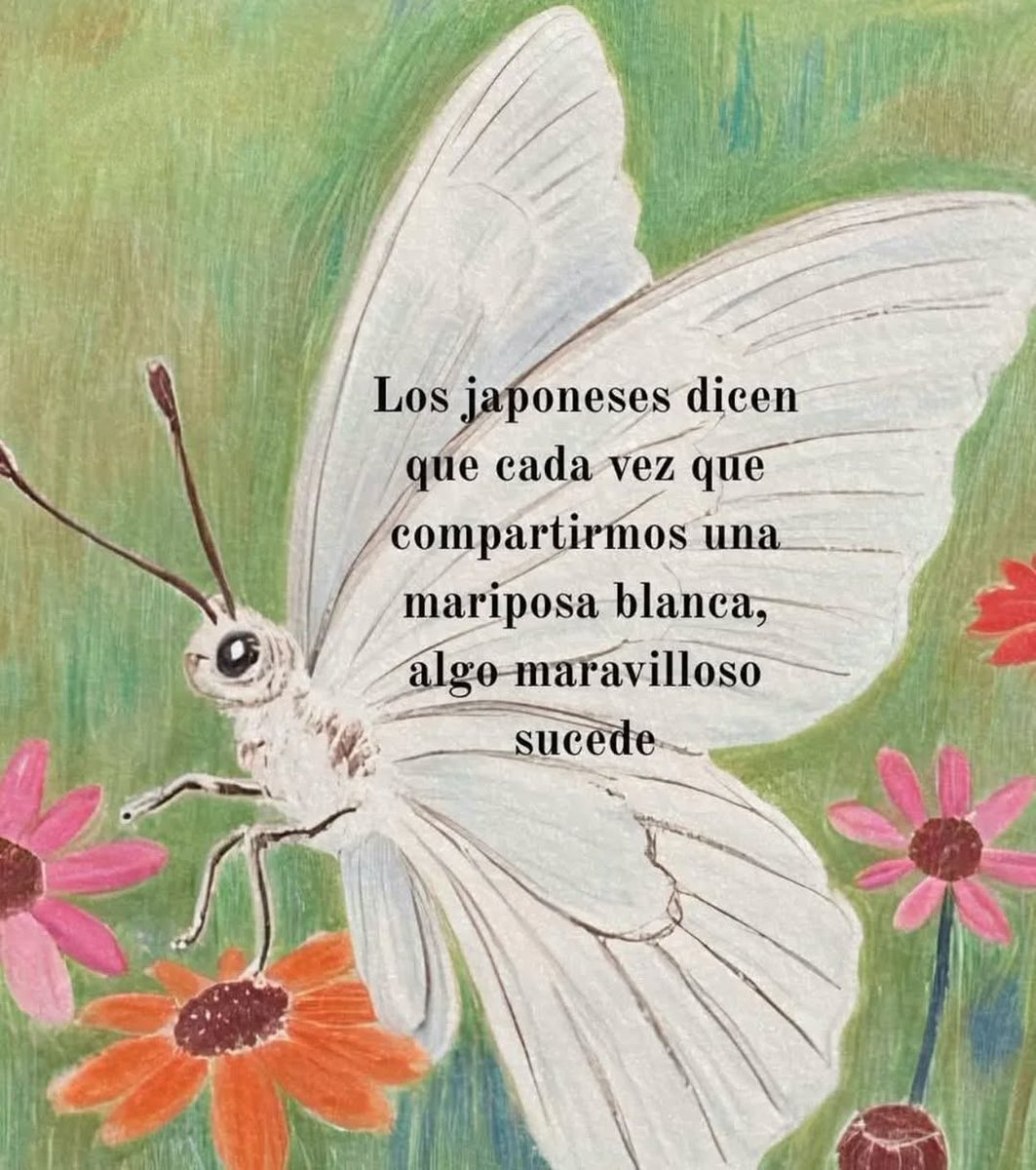 textosnublados's tweet image. 