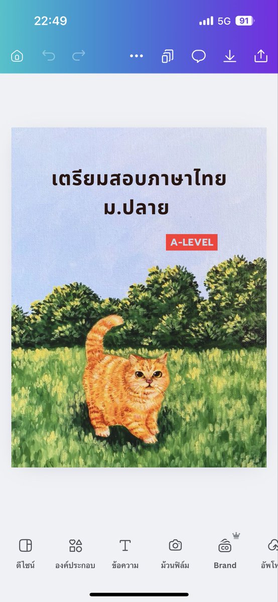 โอเคม้ายคับ