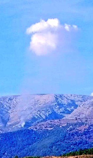 Batallón T-15 tweet media