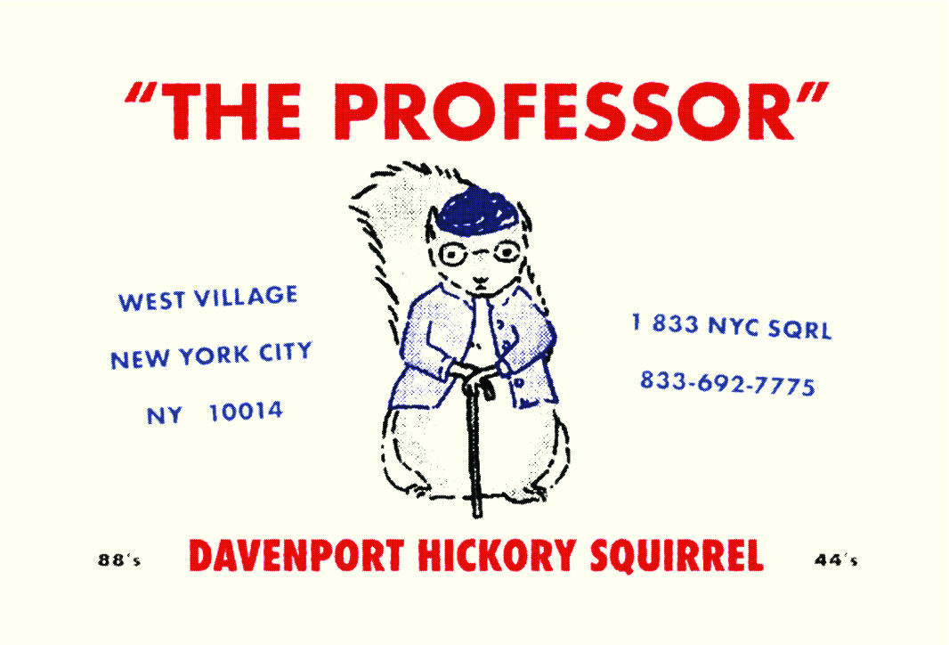 Squirrel Census tweet media