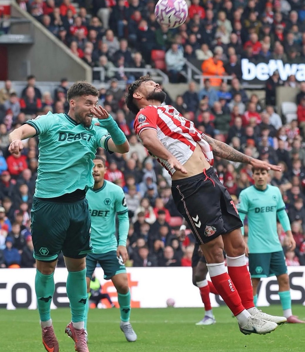 𝐓𝐇𝐄 𝐖𝐎𝐋𝐅𝐏𝐀𝐂𝐊™️ tweet media