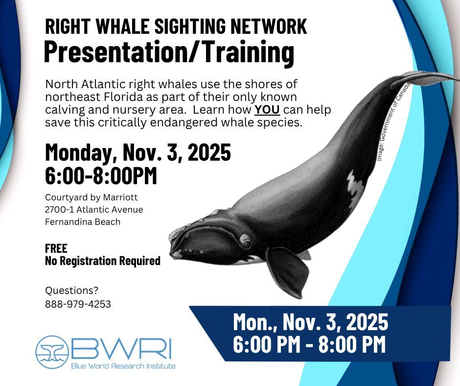 Right Whale Festival tweet media