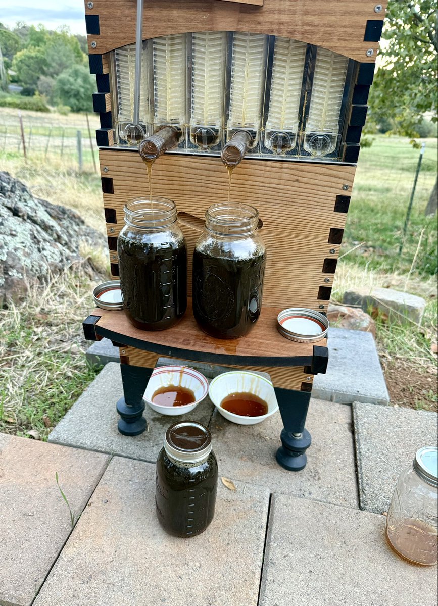 Proof of Work.
Season 1 golden honey.