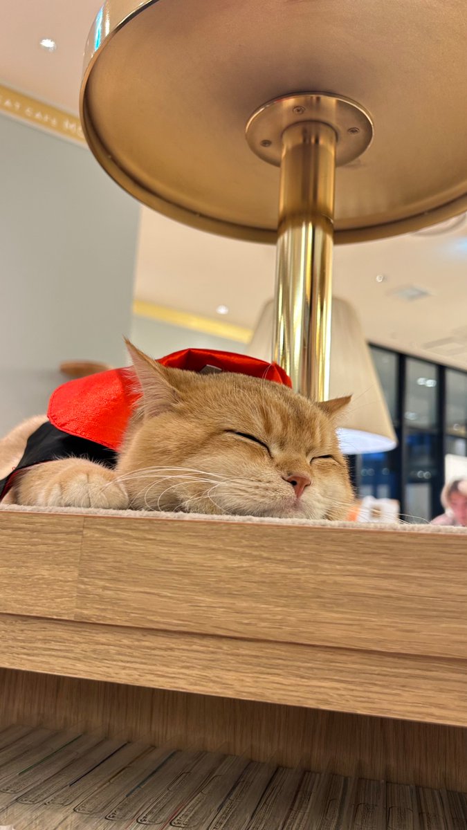 いい休日だった🥰