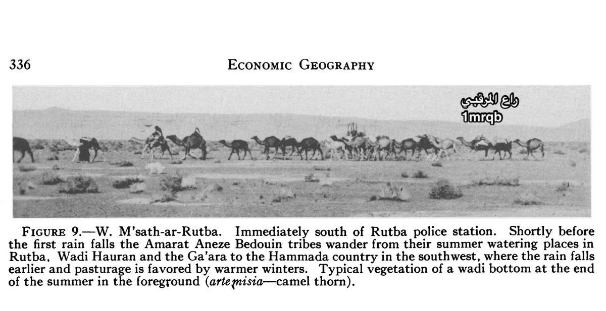 📸 صورة تُنشر لأول مرة من مجلة Economic Geography الصادرة عام 1939م.

بعدسة الباحث هانز بوش ضمن دراسته عن العراق.

تُظهر رحيل من #العمارات من قبيلة #عنزة في بادية الرطبة قبيل موسم المطر وهم يرحلون جنوبًا نحو وادي حوران بحثًا عن المراعي.