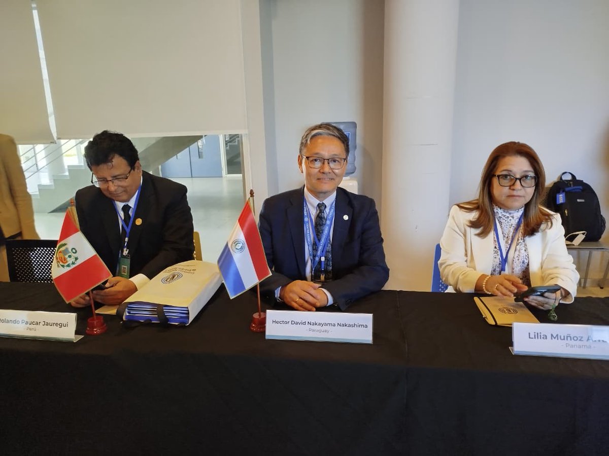 cnea_py's tweet image. 🇵🇾 El Dr. Héctor Nakayama, presidente de la CNEA, participo de la Reunión Regional sobre Sostenibilidad e Innovación en Instituciones Nucleares Nacionales, realizada en Buenos Aires 🇦🇷 organizada por el OIEA y la CNEA Argentina. #CNEA60AÑOS
🔗 Más info: n9.cl/dz0ag8