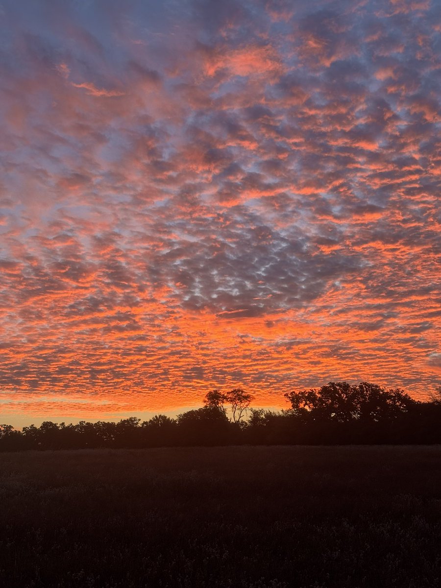 Woke up to this glorious sunrise 🌅 &amp; now lunchtime Domaine des Riottes Savigny-lès-Beaune 2022 Premier Cru “Lés Lavières” 🇫🇷 Pinot Noir 🍇 wine 🍷 notes 📝: medium-bodied, rich &amp; chewy, dark cherry flavor bursting through grape skins #delicious 😋 #Saturday