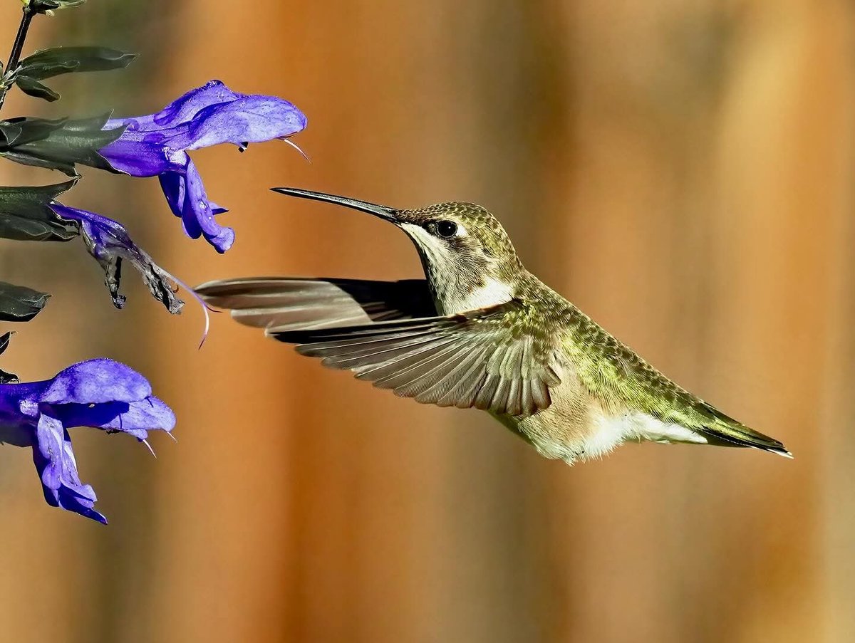 My uncle is pretty dang good with his camera...