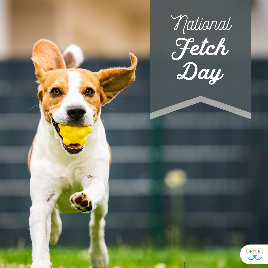 pleasanthill_ah's tweet image. National Fetch Day is a reminder of the simple joys that keep our pets active and connected. Let&apos;s celebrate the love, laughter, and endless fetches that make every tail wag. 
 #nationalfetchday #fetchday #gofetch
