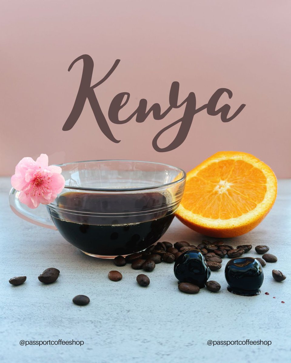 passportcoffee's tweet image. Our Kenya single origin beans carry a vibrant blend of citrus and cherry notes. 
Graded as AA (Kenya’s top classification) Nguvu represents the best of the best, offering an outstanding cup quality.  

#kenya #localfirstaz #specialtycoffee #freshroasted