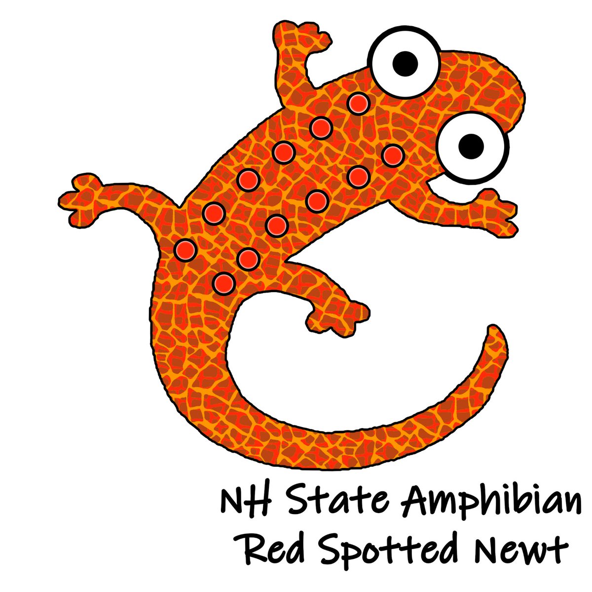 GreenCarbon2112's tweet image. Have you ever seen a Red Spotted Newt when you were hiking in #NewHampshire zazzle.com/red_spotted_ne… #statesymbols