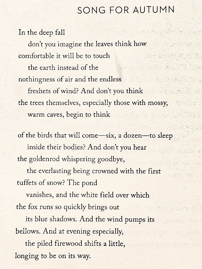 • Mary Oliver •