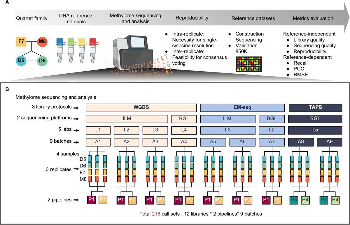 jsantoyo's tweet image. Methylation reference datasets from quartet DNA materials for benchmarking epigenome sequencing. #DNAmethylation #ReferenceDatasets #BenchmarkingMaterials #Epigenomics #Sequencing #Genomics @NatureComms 
nature.com/articles/s4146…