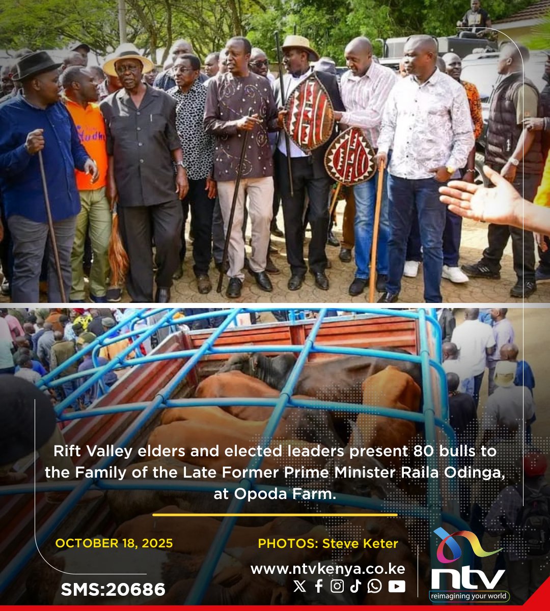 ntvkenya's tweet image. Rift Valley elders and elected Leaders present 80 bulls to the Family of the Late Former Prime Minister Raila Odinga, at Opoda Farm, a traditional gift symbolising not only his age but also friendship.