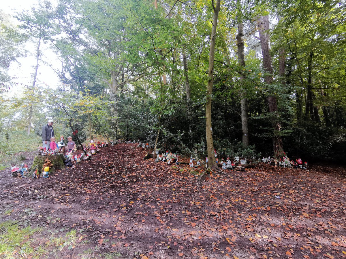 vrijezangvogel's tweet photo. #miniatuurwereld #mossen #paddenstoelen #kabouters in parkbos in Santpoort. @jolandabrwr @MiekePoiesz #fot_O_ktober. Niet allemaal scherp, m'n lijf wil nog niet en nog herstellende, zat trillend op de hurken.. Fijne avond. https://t.co/5Sz7kaY3fR