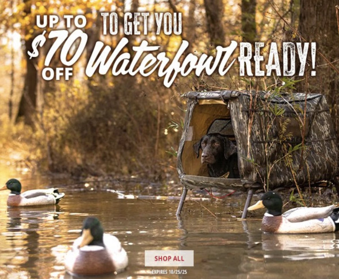 Save big and get waterfowl ready with Natchez! Shop now: t.ly/yyVV3