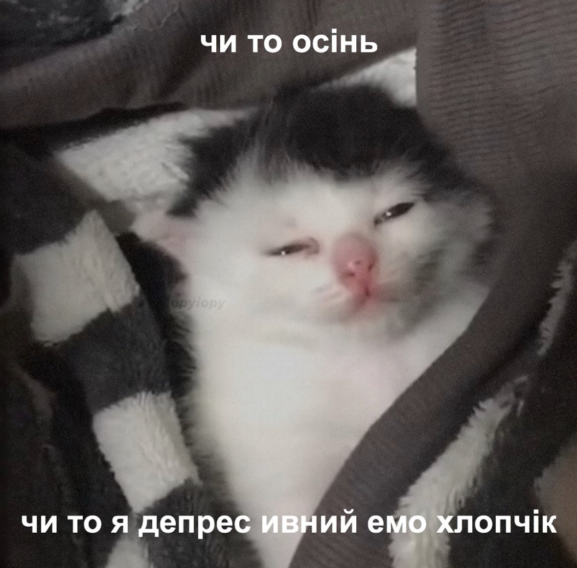 кася міся (@_dri_vel) on Twitter photo 