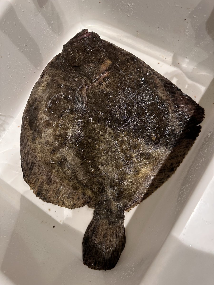 И куда тебя ебать