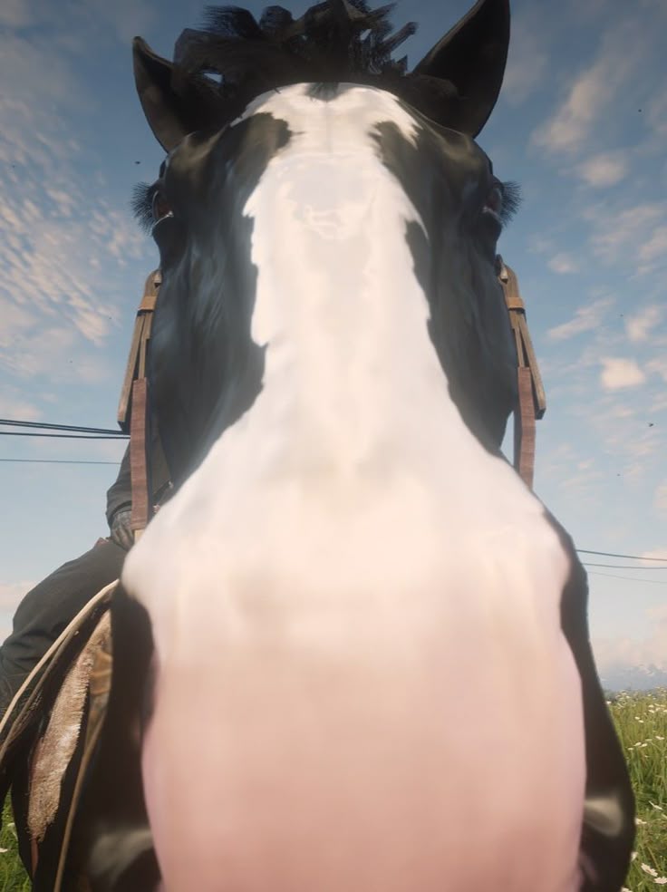 my favorite type of rdr pics genuinely