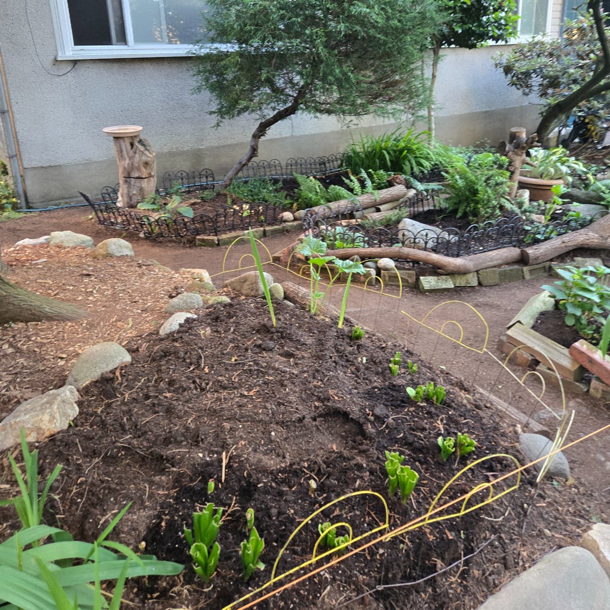 FoundFern's tweet image. 🌱♻️ Celebrate National Recycling Day by giving your garden some eco-love! Composting and eco-friendly gardening not only reduce waste but also create healthier, more vibrant plants.

#NationalRecyclingDay #EcoFriendlyGardening #CompostingTips #GreenThumb #fernandfound