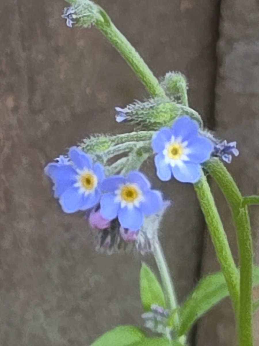 respecting nature tweet media