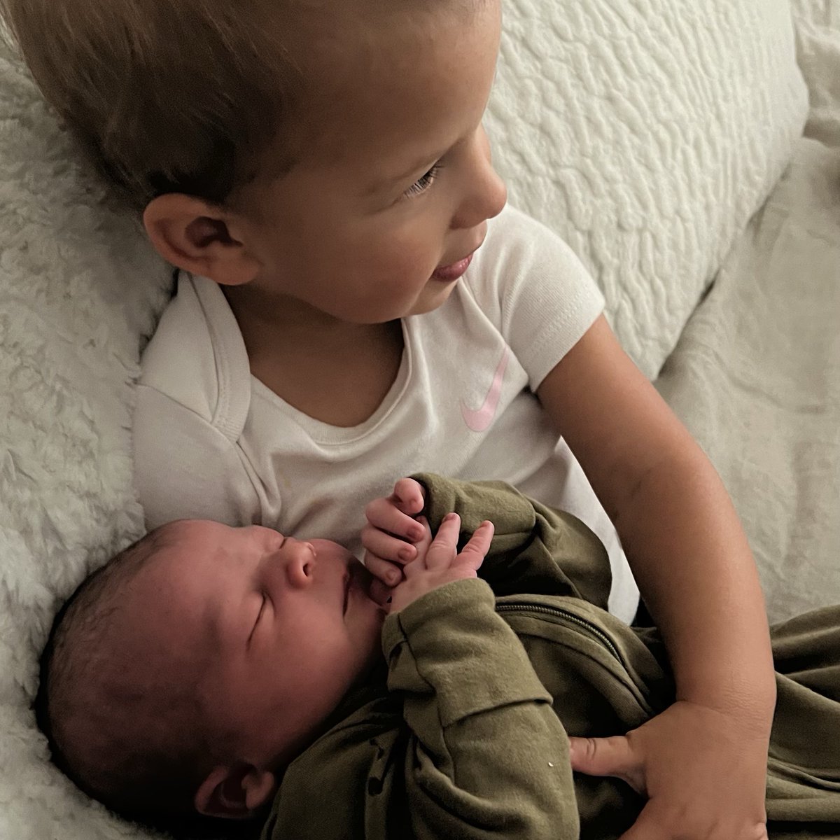 Tarek Fattal tweet media