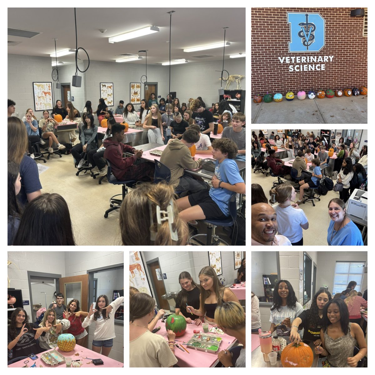 Our students had a blast at this week’s Pumpkin Painting FFA Gathering! 
A fun fall afternoon full of creativity, laughs, and FFA spirit! <a href="/DenmarkHS/">Denmark High School</a> <a href="/fcspathways/">Forsyth County Schools Pathways | CTAE & Fine</a> <a href="/NationalFFA/">National FFA</a>