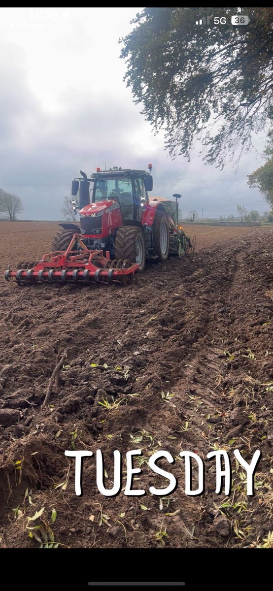 Conall Moore tweet media