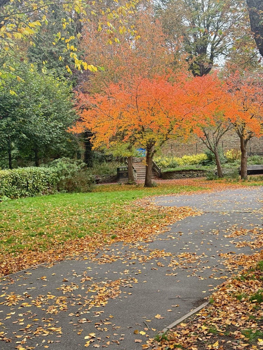 #영국 🇬🇧 가을 🍂