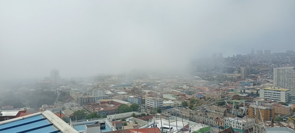 Y de un día soleado, calido espectacular en Valparaíso, pasamos a una tarde cubierta y fresca. Esas cosa de la niebla no avisa o qué? 🤔 <a href="/cristobalreus/">Cristóbal Reus Chêreau</a> <a href="/Off_Valpo/">ex-Marino</a> <a href="/Sepulinares/">Alejandro Sepúlveda Jara</a> <a href="/EspinosaMeteo/">Gonzalo Espinosa Doggenweiler METEORÓLOGO</a> <a href="/alegriagonzaa/">Alejandro Alegria 🌴</a> <a href="/MetArmada_Valp/">Centro Meteorológico Valparaíso</a> <a href="/NickoMeteo/">Nicko Geo-Meteo ⛈️🌎</a> <a href="/meteoredcl/">Meteored.cl</a> <a href="/RedMeteoA/">Red MeteoAficionada</a> <a href="/pamelahn/">Pamela Henríquez Neira</a>