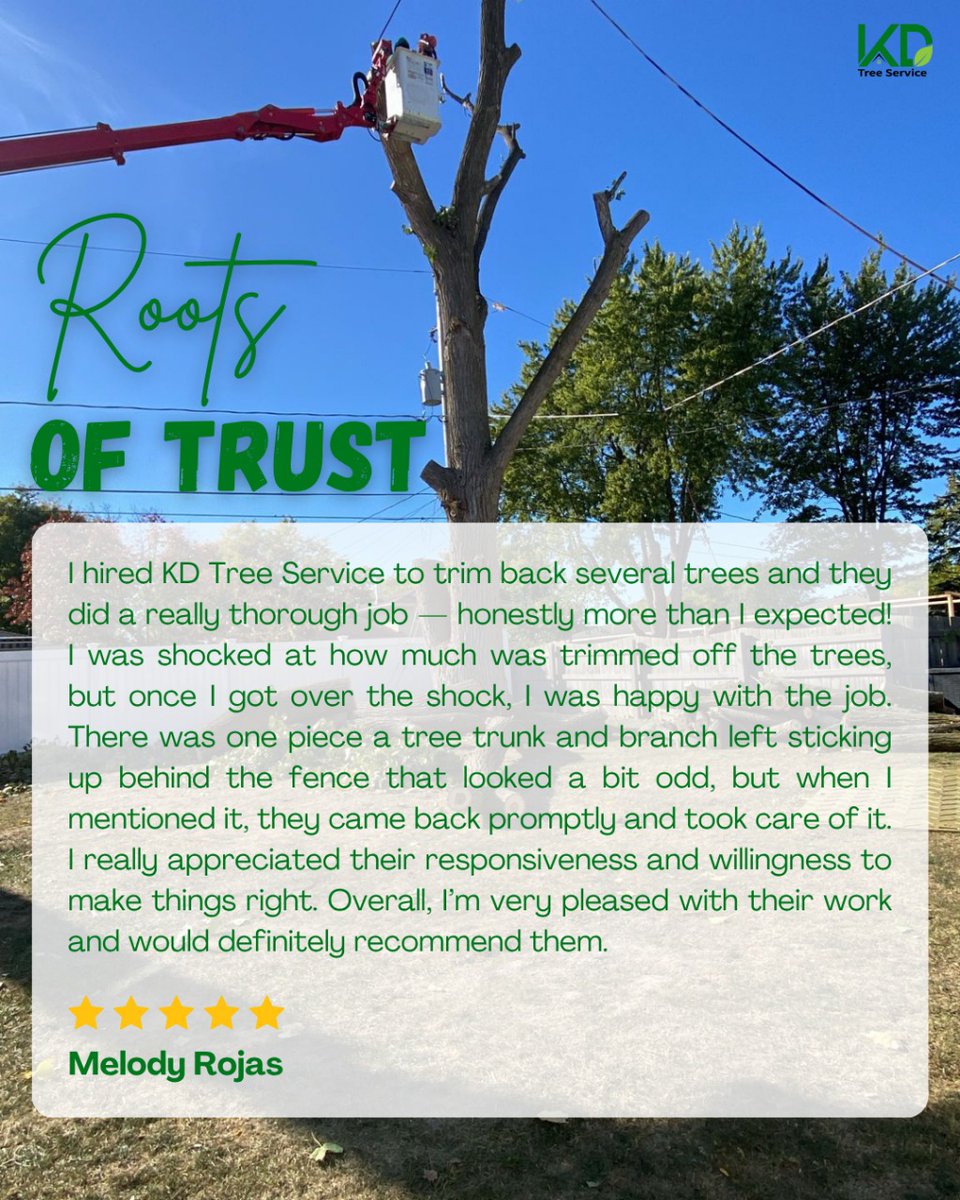 kdtrees_buffalo's tweet image. Rooted in trust, growing through great service! 🌳💚
We’re proud to earn the confidence of amazing clients like Melody. Your satisfaction and trust mean everything to our team!
#KDTreeService #CustomerReview #TreeCareExperts #HappyClients #TreeTrimming #ProfessionalService