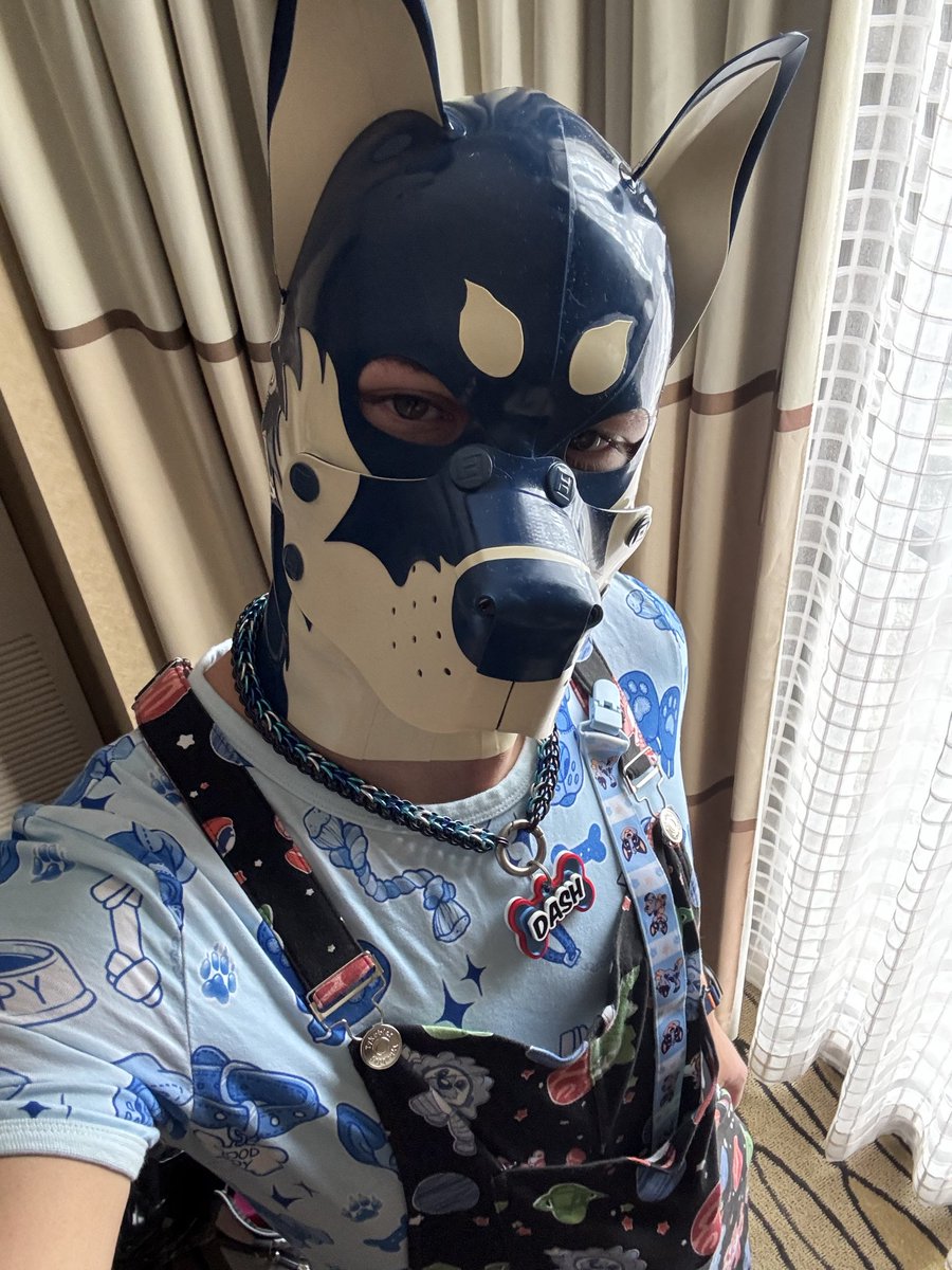 pupper_dash's tweet image. Today’s fit for MIR