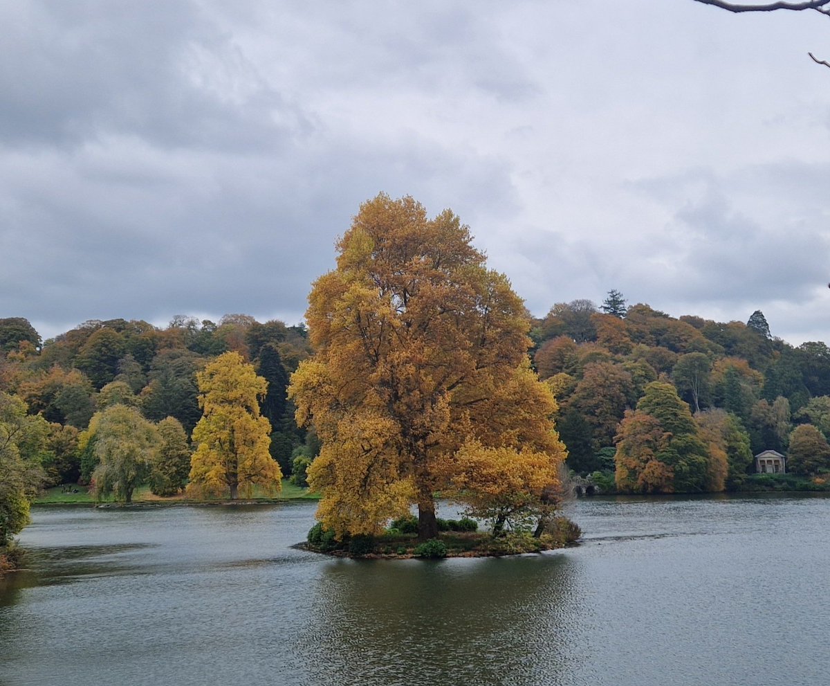 Vicky_Freeman's tweet image. Stourhead was looking very autumnal today.